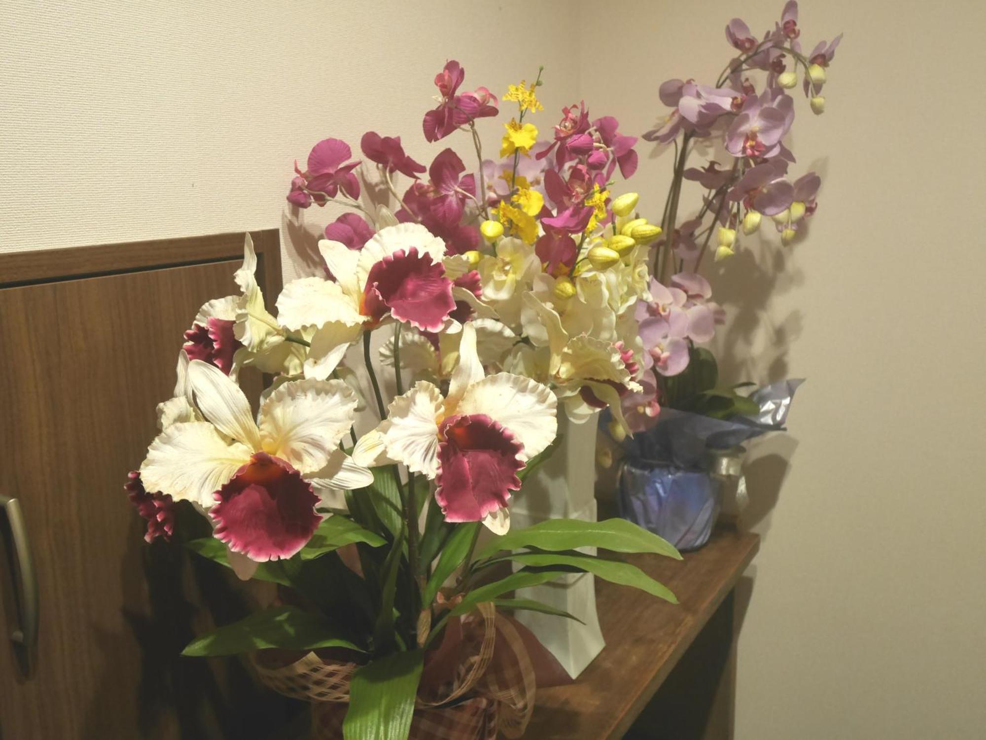 Guesthouse Grande今宮駅前 Osaka Exteriör bild